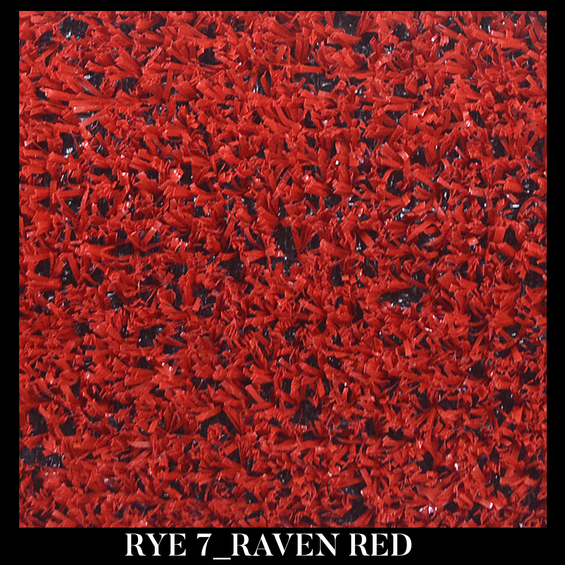 RYE Raven Red